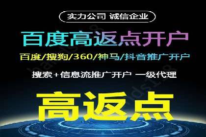 短视频信息流营销实战：小红书的成长之路